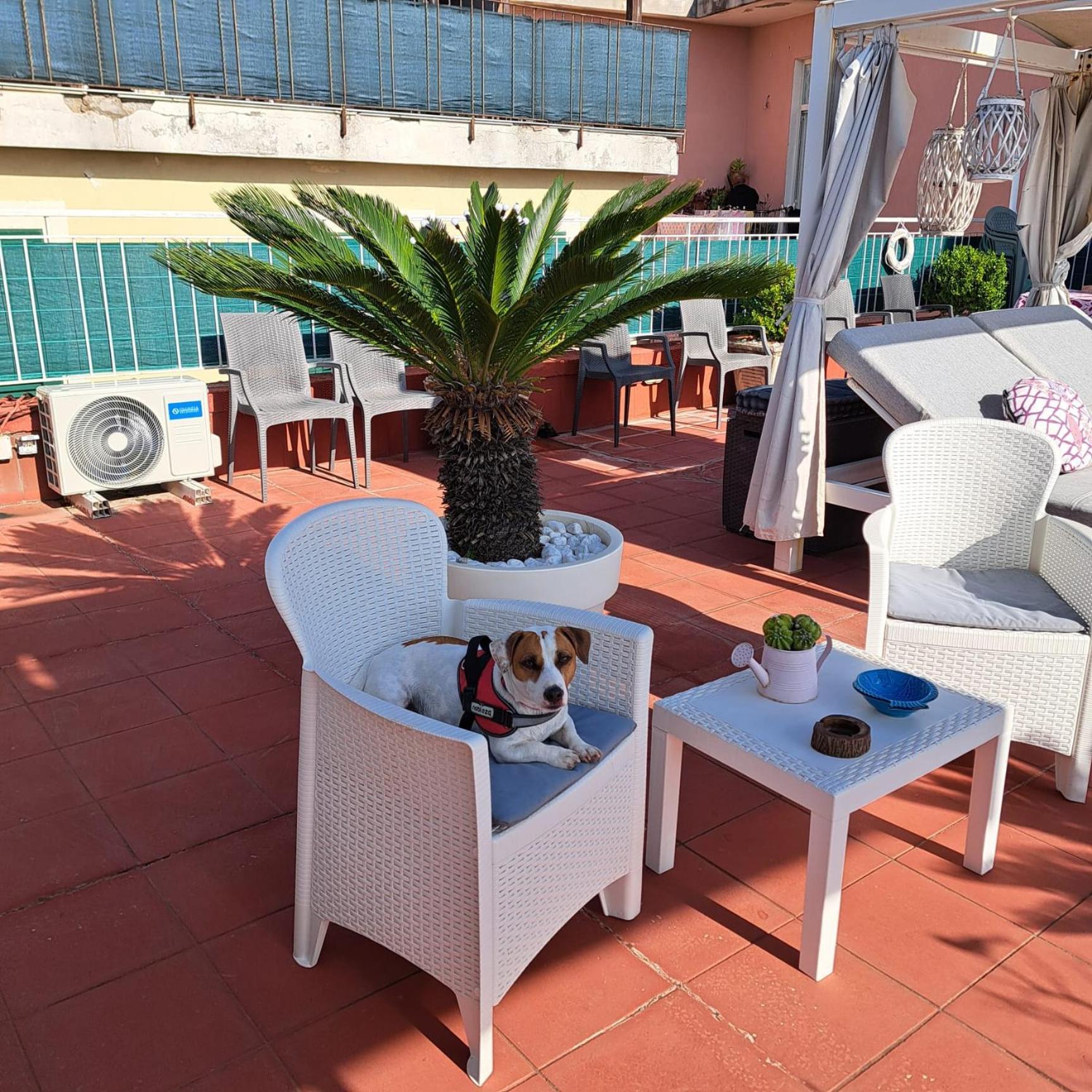 Apartment Terrazza Miracapri *